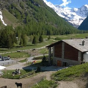 Vila La Ferme Du Grand Paradis Cogne Exterior photo