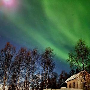 Vila Cabin Magic On Senja, Atmosphere Like A Fairytale Botnhamn Exterior photo