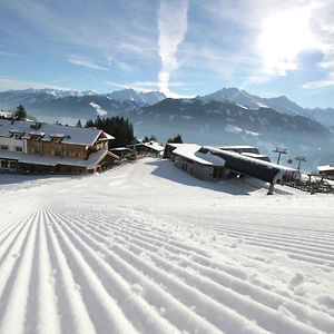 Apartmán Elegant Chalet With Sauna In Mittersill Salzburg Hollersbach im Pinzgau Exterior photo