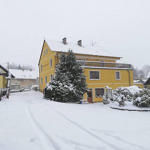 Hotel Pension Pastis Janov Exterior photo