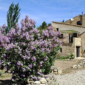 Vila Ca L'Olier Montblanquet Exterior photo