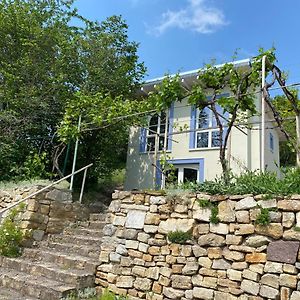 Vila Weinbergshaus Mit Blick Auf'S Wasser Salzatal Exterior photo