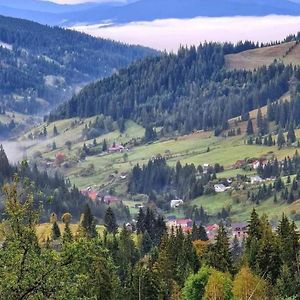 Pensiunea Casa Fierarul Din Bucovina Vatra Moldoviţei Exterior photo