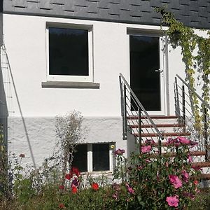 Vila Historisches Ferienhaus "Schwalbennest" Mit Eseln Holzhausen  Exterior photo