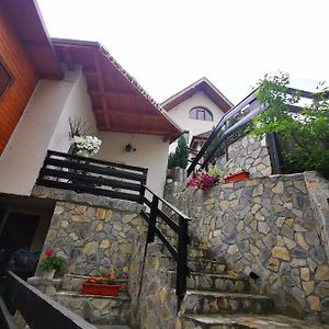 Hotel Casa Flandria Sinaia Exterior photo