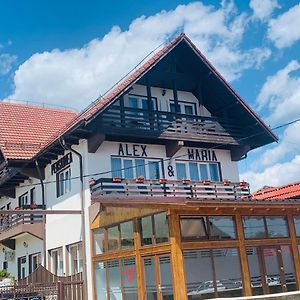 Hotel Alex & Maria Cărpinişu Exterior photo