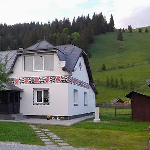 Vila Casa Dumitru Si Elena Ciocanesti Bucovina Exterior photo