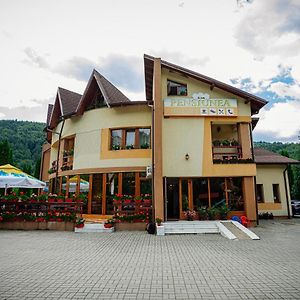 Hotel Pensiunea Floare De Colt Dragoslavele Exterior photo