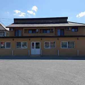 Hotel Pensiunea Albert Harsova Exterior photo