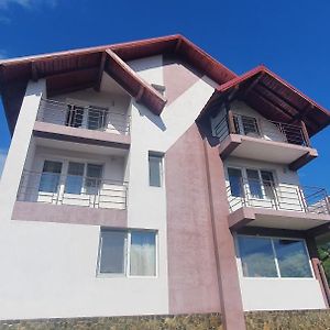 Hotel Casa Silvia Căpăţîneni-Ungureni Exterior photo