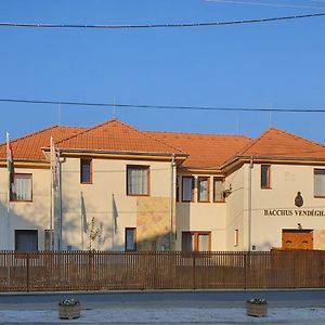 Hotel Bacchus Vendeghaz Erdőbénye Exterior photo