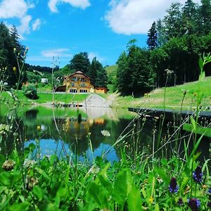 Bed and Breakfast Zelena Oaza Zgornja Kungota Exterior photo