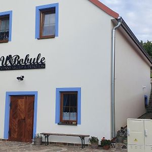 Vinný sklep a penzion U Bobule Znojmo Exterior photo