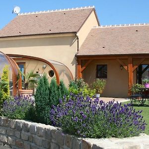 Vila Maison De Charme En Berry Pres D'Un Golf & Spa, Jardin D'Hiver, Velos, Animaux Bienvenus - Tout Inclus - Fr-1-591-332 Pouligny-Notre-Dame Exterior photo