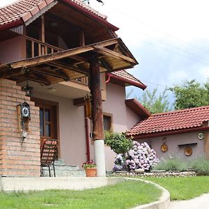 Vila Casa Darius Novaci-Străini Exterior photo