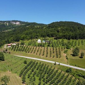 Penzion Kljajevica Orchard Pljevlja Exterior photo