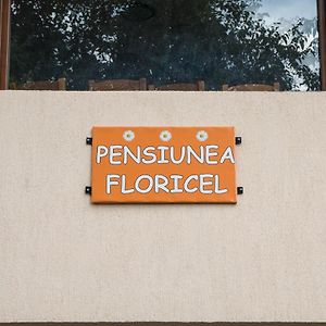 Hotel Pensiunea Floricel Stoeneşti Exterior photo