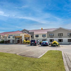 Comfort Inn & Suites Leeds I-20 Exterior photo