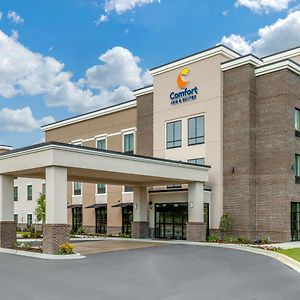 Comfort Inn & Suites Florencie Exterior photo