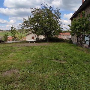 Vila Studio Chaleureux Dans Les Monts Du Forez Verrieres-en-Forez Exterior photo