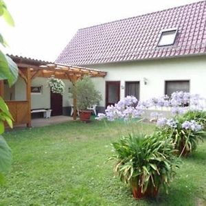 Apartmán Haus Feldmuehle Bad Frankenhausen Room photo