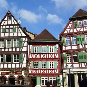 Aparthotel Gaestehaus Am Marktbrunnen Bretten Exterior photo