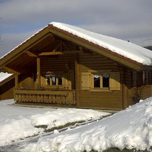 Vila Ferienhaus Bayern Stamsried Exterior photo