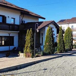 Hotel Complex Transalpina Aninisu din Vale Exterior photo