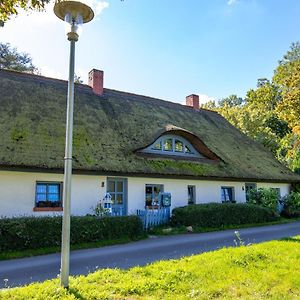 Apartmán Luett Stuuv Am Dorfanger Barth Exterior photo