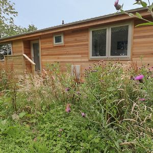 Vila 18 Meadow Retreat Liskeard Exterior photo