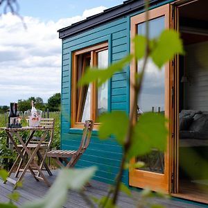 Hotel Tiny House In The Vineyard By Gramofon Wine Iordachianu Exterior photo