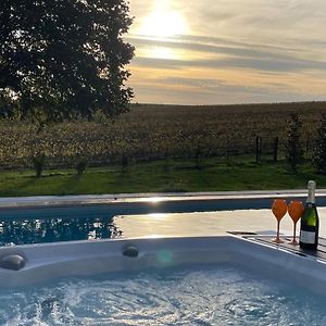 Apartmán Best View, Pool And Spa On The Champagne Vineyard Saint-Thierry Exterior photo