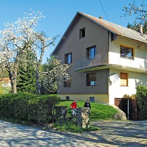 Apartmán Haus Hollerbusch Neunburg vorm Wald Exterior photo