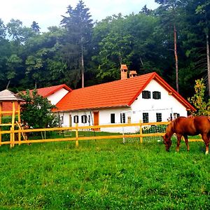 Vila Turisticna Kmetija Hisa Ob Gozdu Pri Ptuju Exterior photo