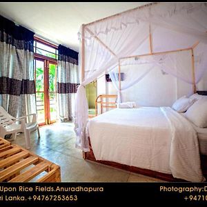 Bed and Breakfast Heaven Upon Rice Fields Anuradhápura Exterior photo