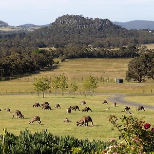 Bed and Breakfast Hanging Rock Views Woodend Exterior photo