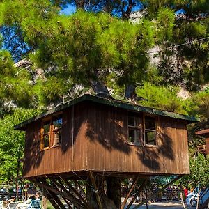 Hotel Gorge Club Oludeniz Room photo