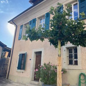 Vila Charming Vinyard House - Lake Geneva Mont-sur-Rolle Exterior photo