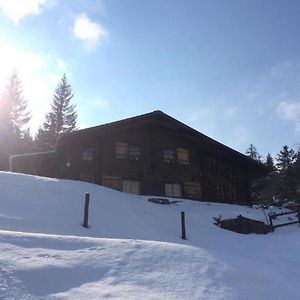 Vila Romantisches Plaetzchen In Der Natur Grindelwald Exterior photo