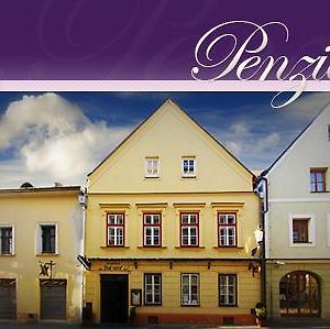 Hotel Penzion U Lucerny Jindřichův Hradec Exterior photo