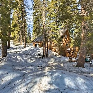 Vila Bear Valley Cabin - Ski To Cross Country Trails! Tamarack Exterior photo