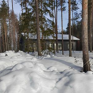 Vila Norvalisma Rovaniemi Exterior photo