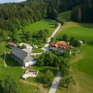 Vila Eco Tourist Farm Ravnjak Slovinský Hradec Exterior photo