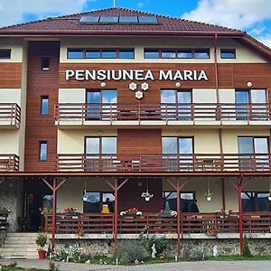 Hotel Pensiunea Maria Gilău Exterior photo