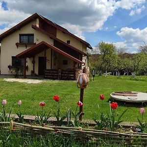 Cottage In Traditional Village Bradulet, Arges County Exterior photo