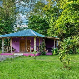 Casa Lavanda In Tropical Jungle Garden Manzanillo  Exterior photo