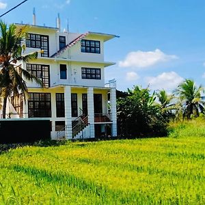 Hotel Freedom Of Green Rice View Anuradhápura Exterior photo