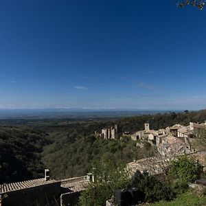 Vila Chateau Le Camigne, Vue Pyrenees Saissac Exterior photo