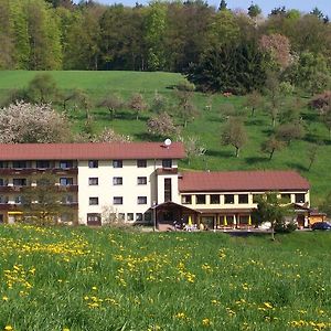 Hotel Dornroeschen Höchst im Odenwald Exterior photo