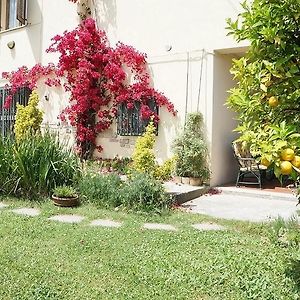 Bed and Breakfast Il Giardino Penne Exterior photo